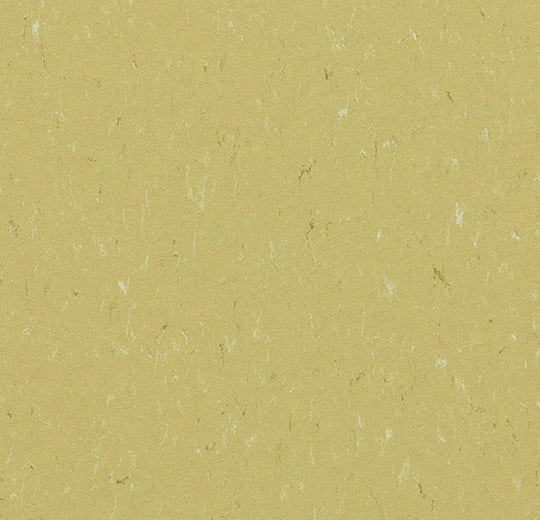Forbo Marmoleum Solid Piano Meadow 3634