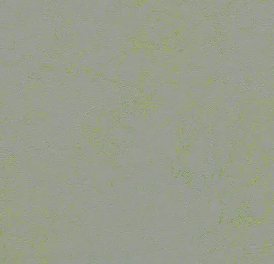 Forbo Marmoleum Solid Concrete Green Shimmer 3736