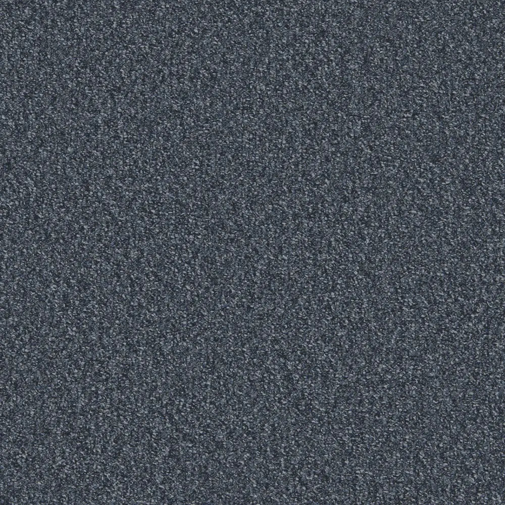 Flooring Wholesale Loop Prussia Carpet Swatch