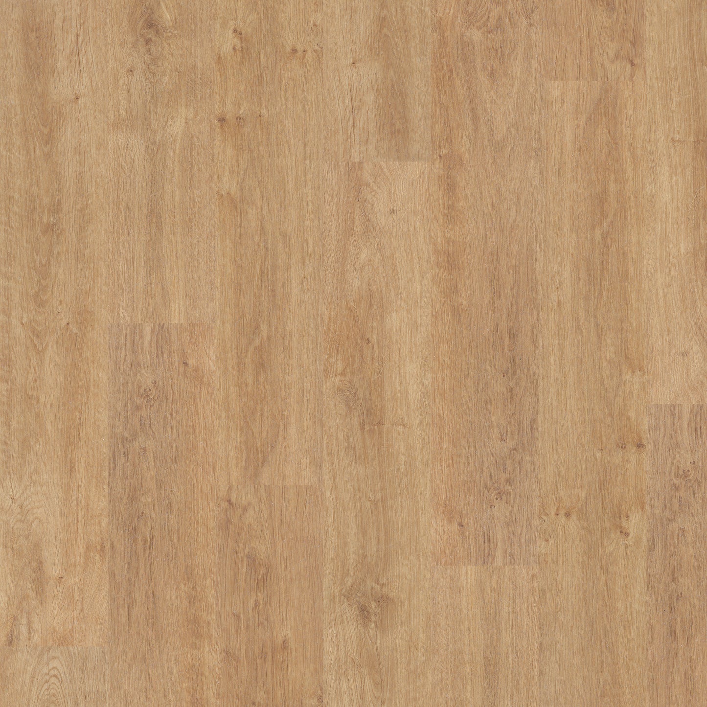 American Oak - Polyflor Expona Control LVT swatch