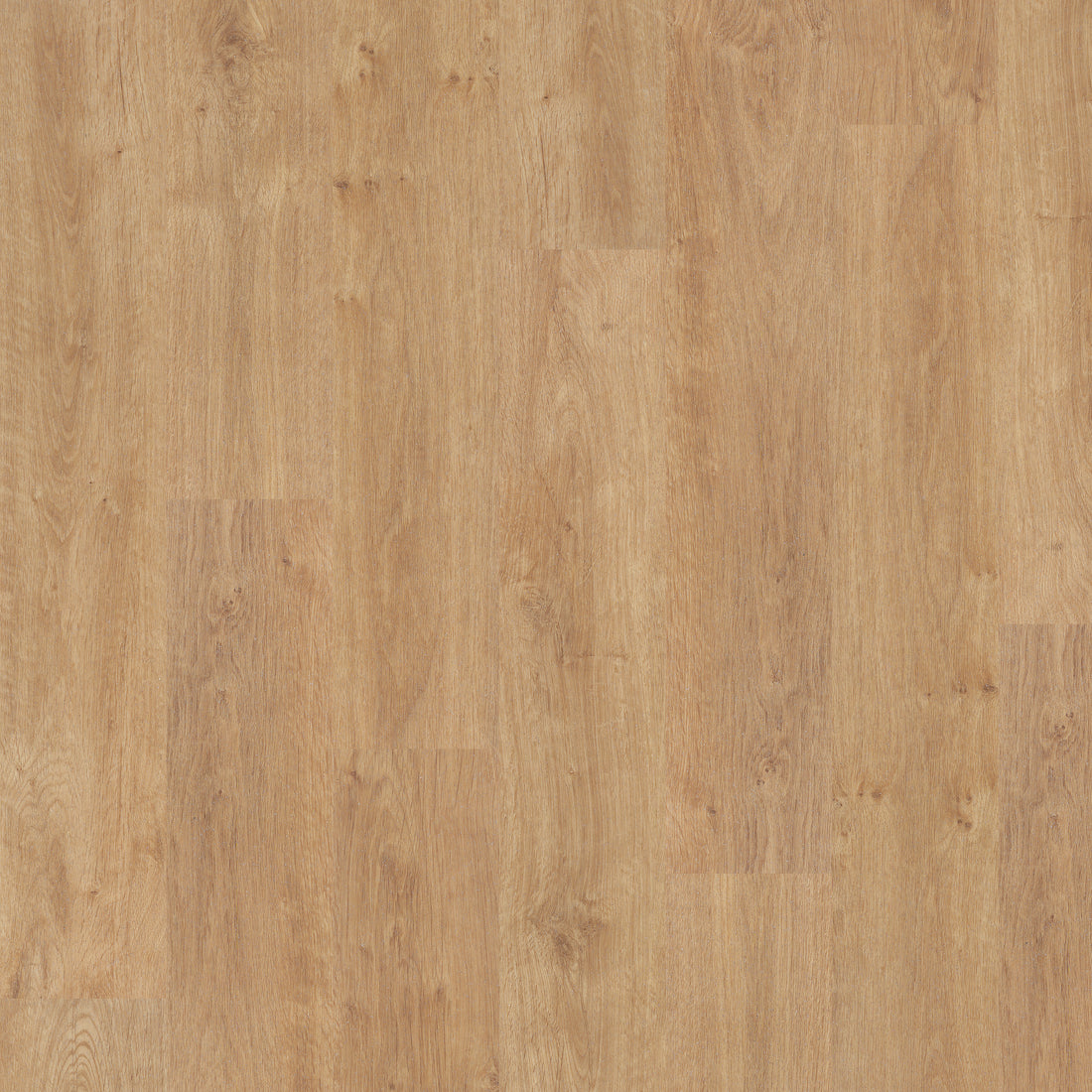 American Oak - Polyflor Expona Control LVT swatch