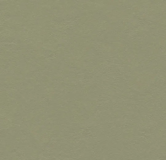Forbo Marmoleum Solid Walton Rosemary Green 3355