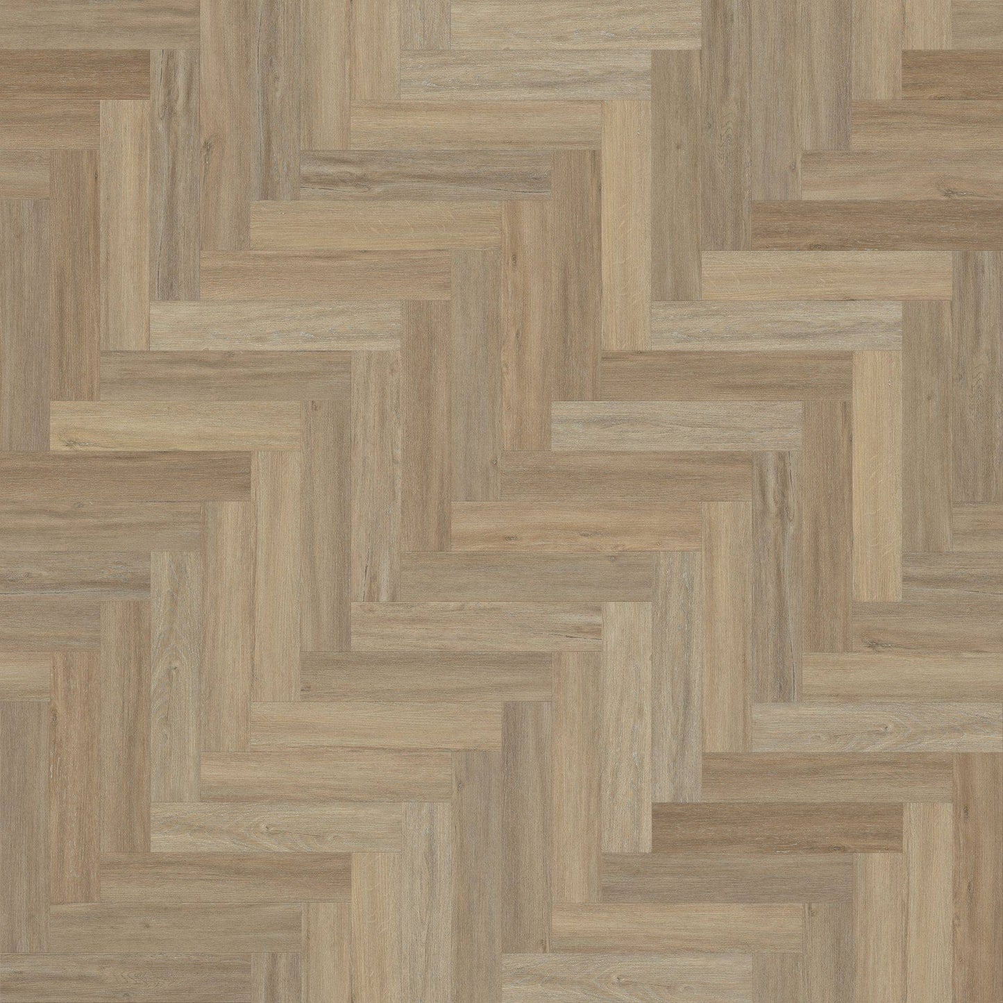 Parquet Elm LVT Flooring