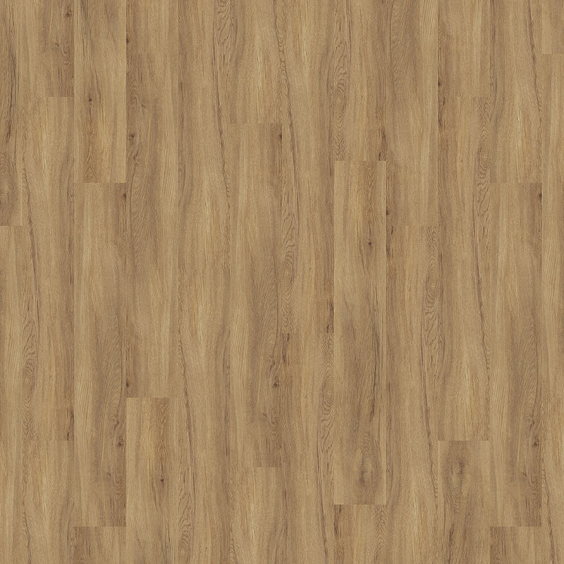 TLC Massimo Wood Authentic Oak PLK5262 Glue-Down LVT Flooring | Trade Prices