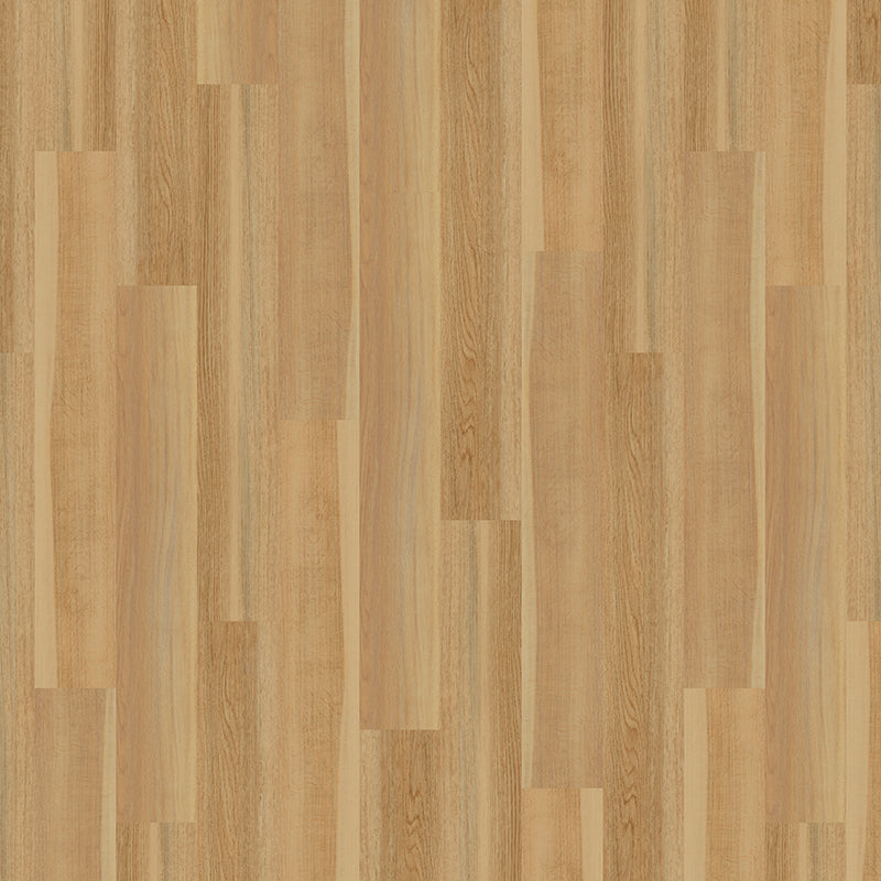 TLC Massimo Wood English Oak PLK5263 Glue-Down LVT Flooring | Trade Prices