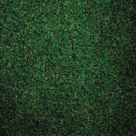 Heckmondwike Wellington Velour Lincoln Green commercial carpet sample