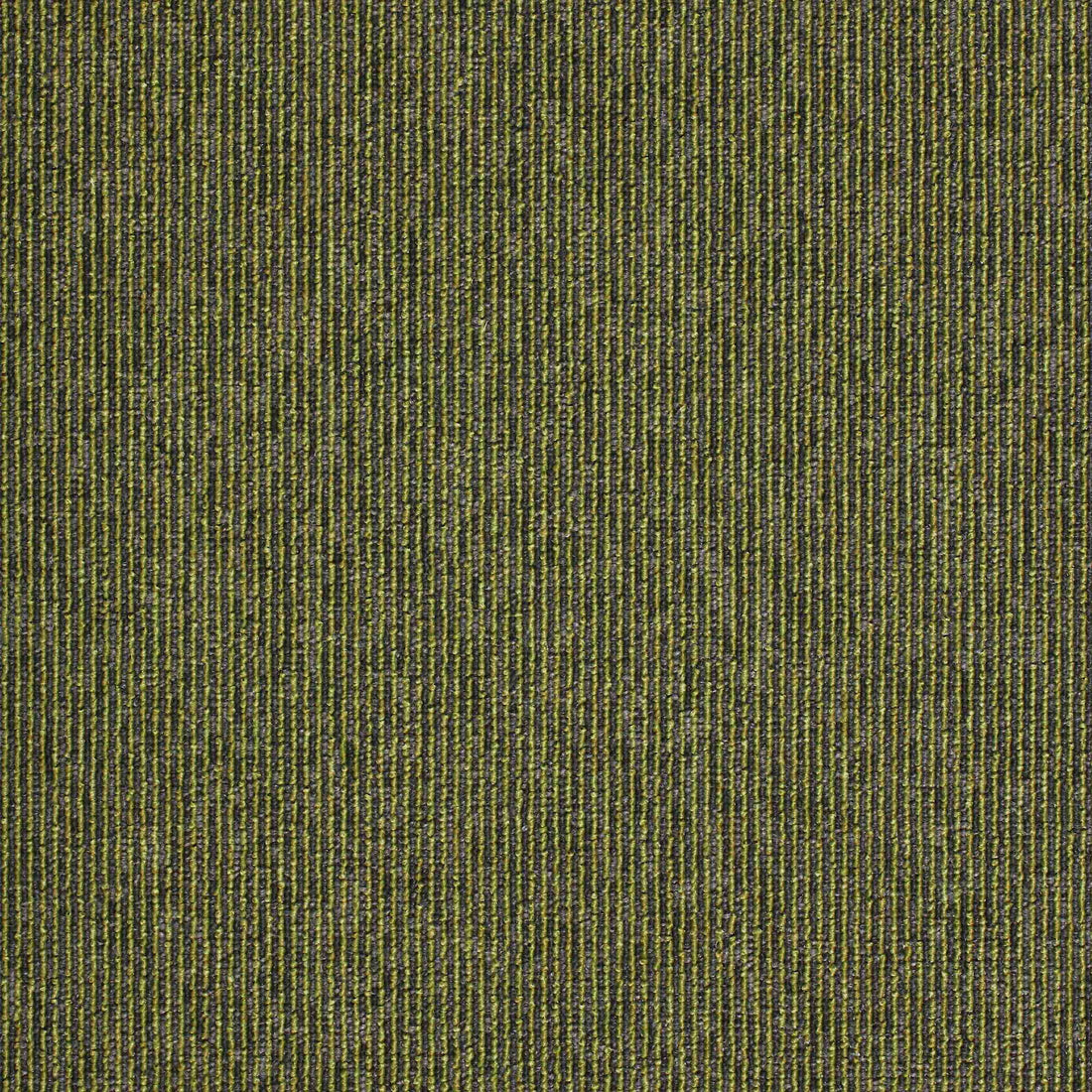 Macaw Stripe Lime / Quartz carpet tile