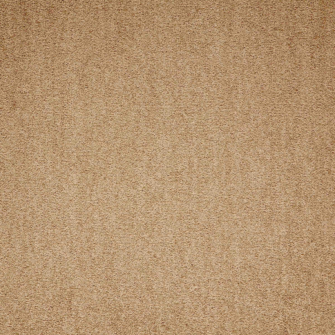 Maestro Beige carpet tile