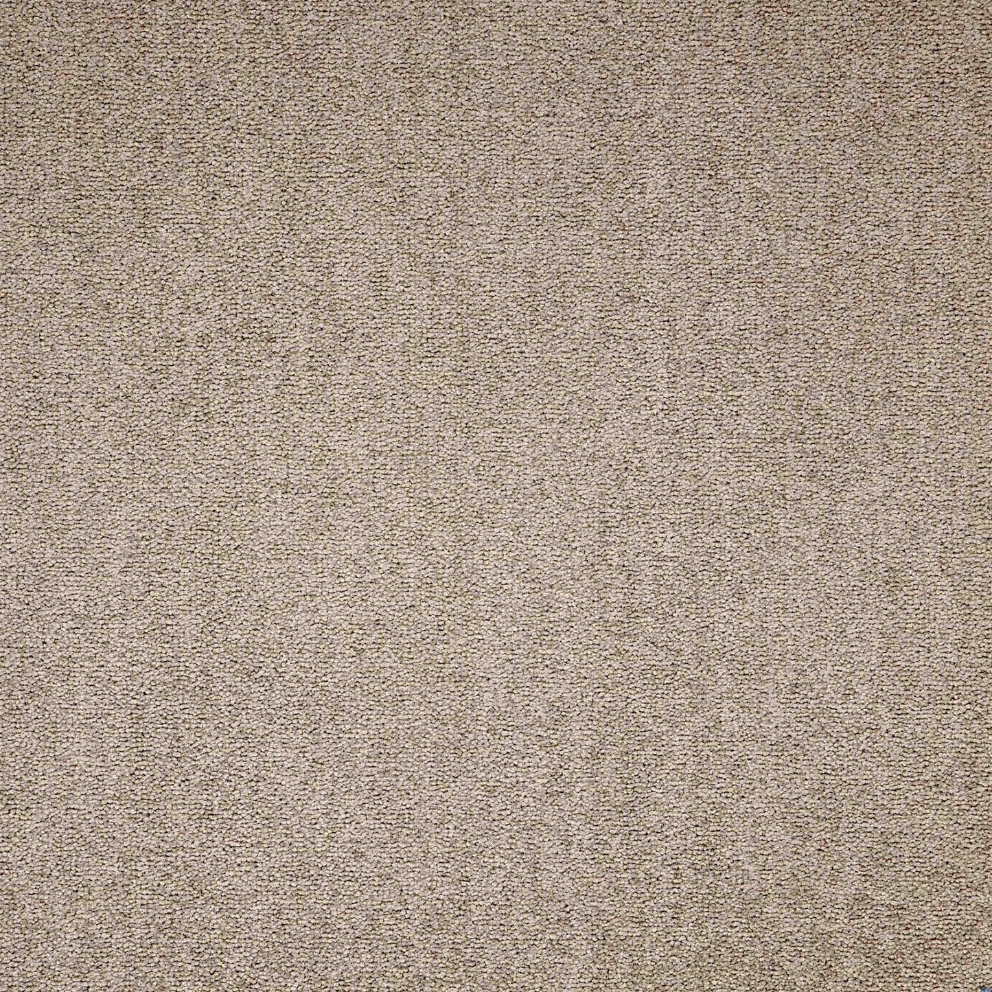Maestro Bracken Salts carpet tile