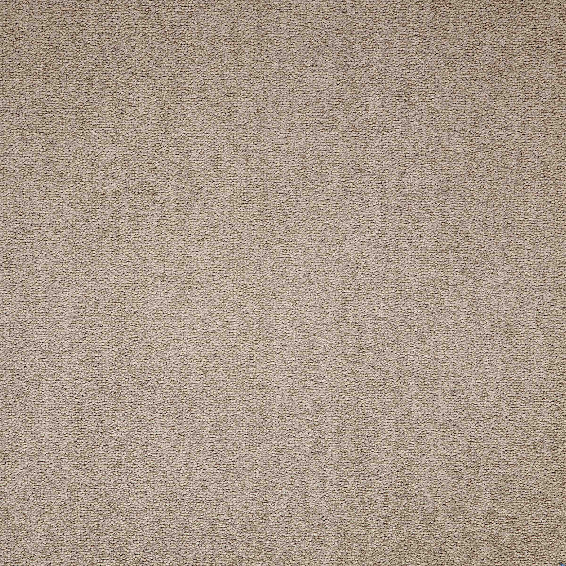 Maestro Bracken Salts carpet tile