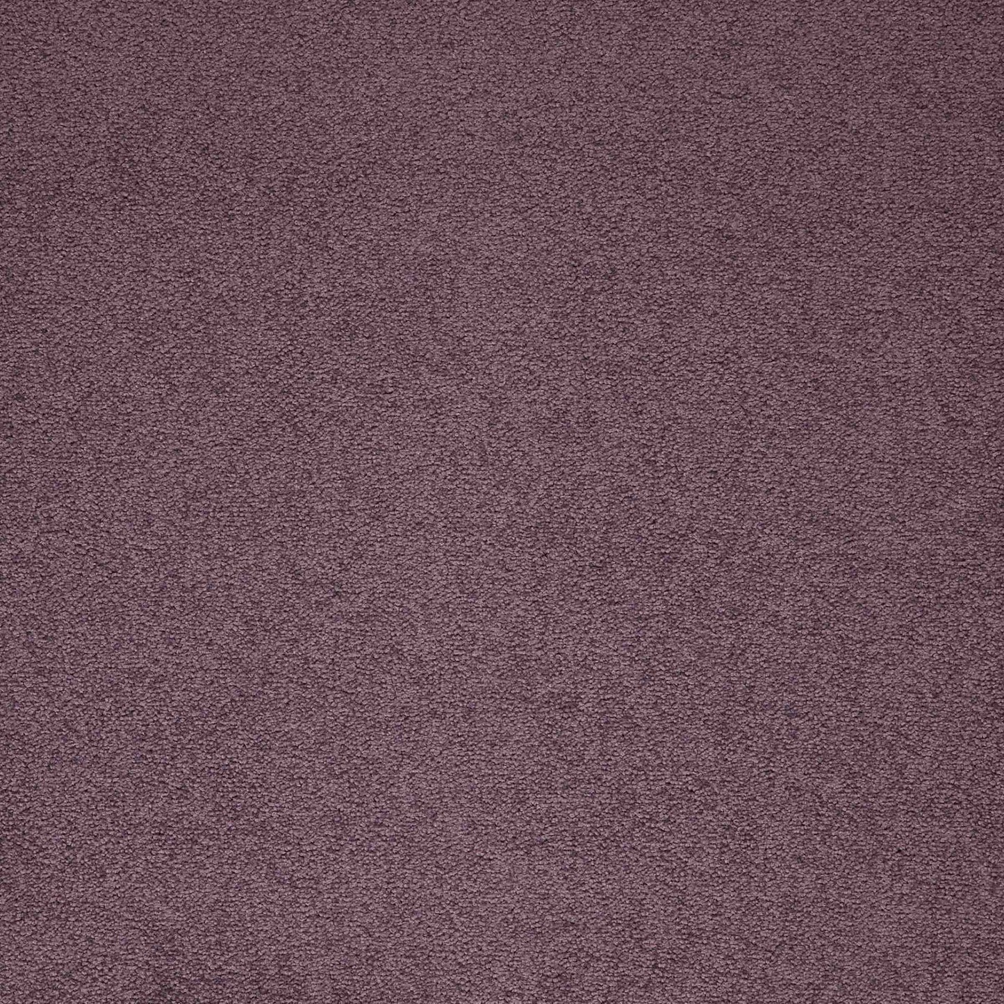 Maestro Dusty Pink carpet tile