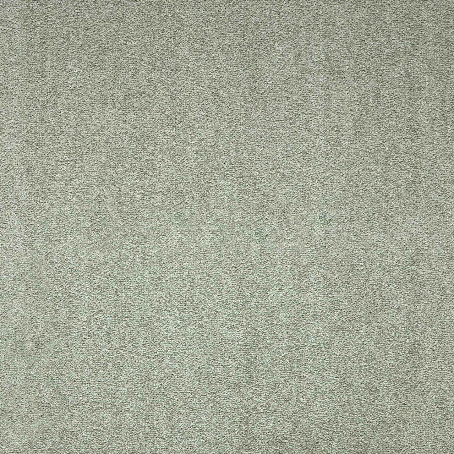 Maestro Indian Ivy carpet tile