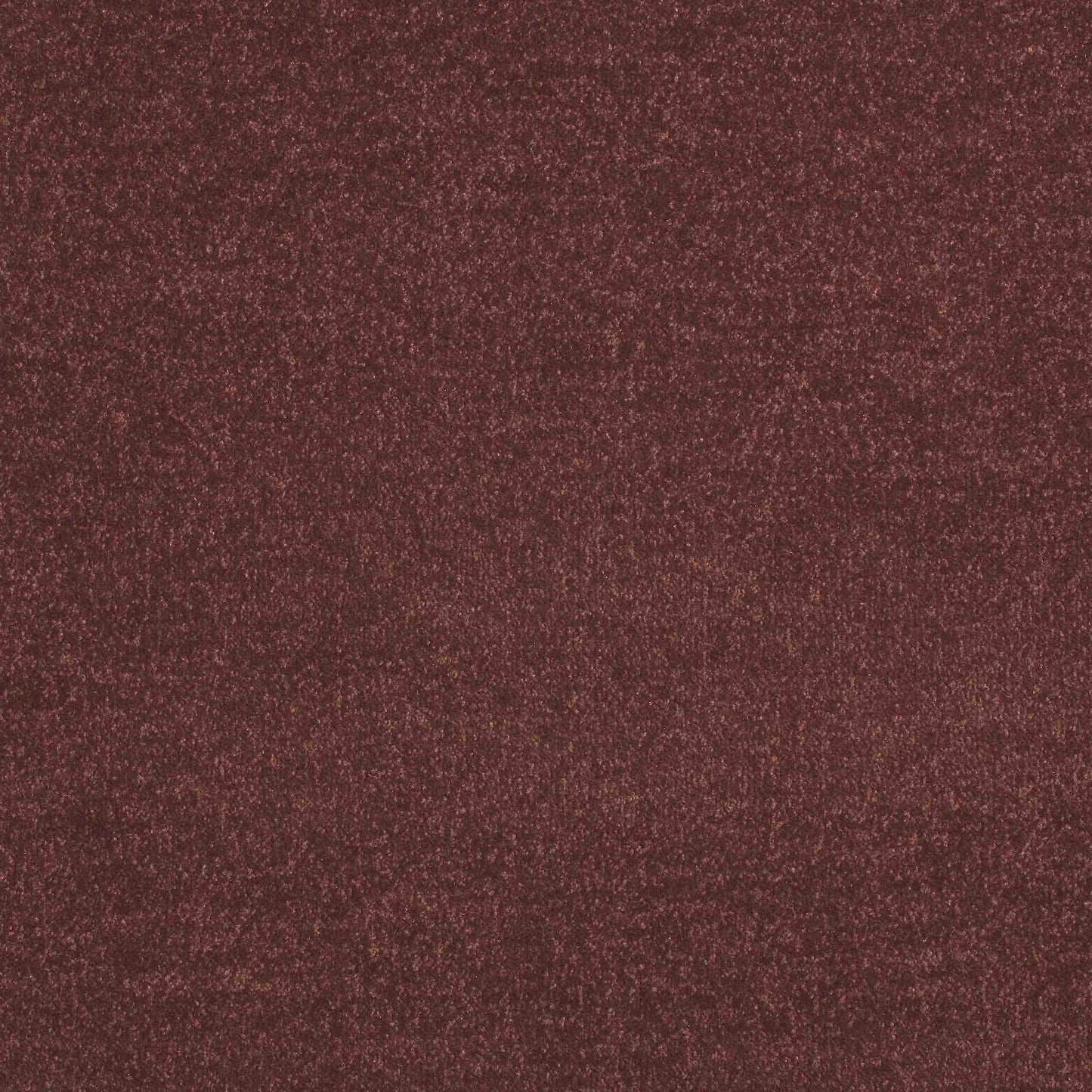 Maestro Sycamore carpet tile