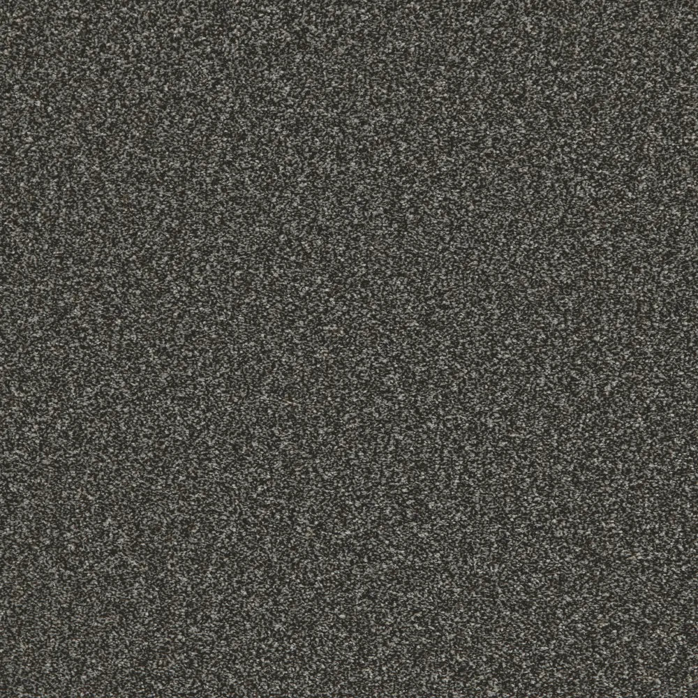 Flooring Wholesale Saxony Plus Milky Way Carpet Swatch