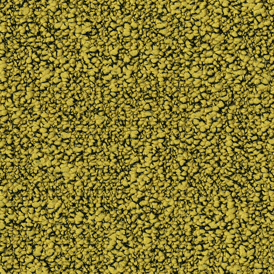 Fields 6218