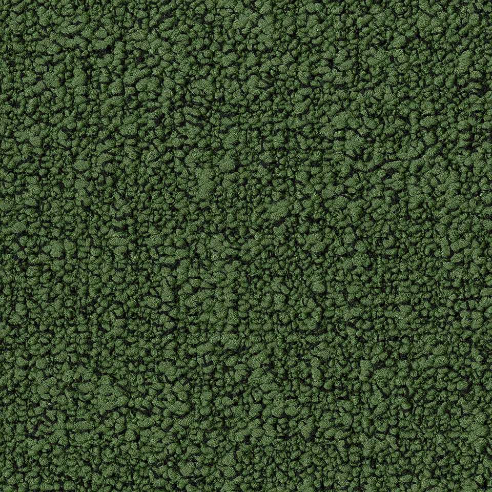 Fields 7231