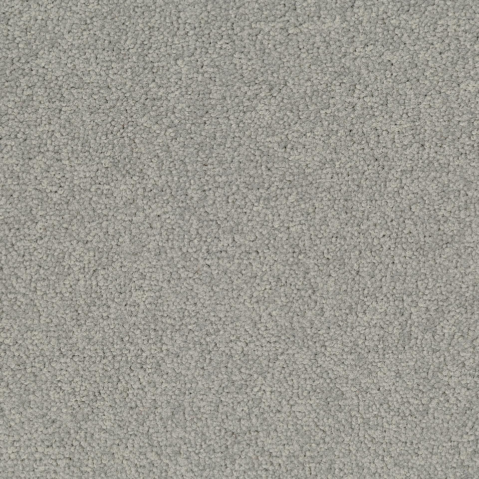 Palatino 1318