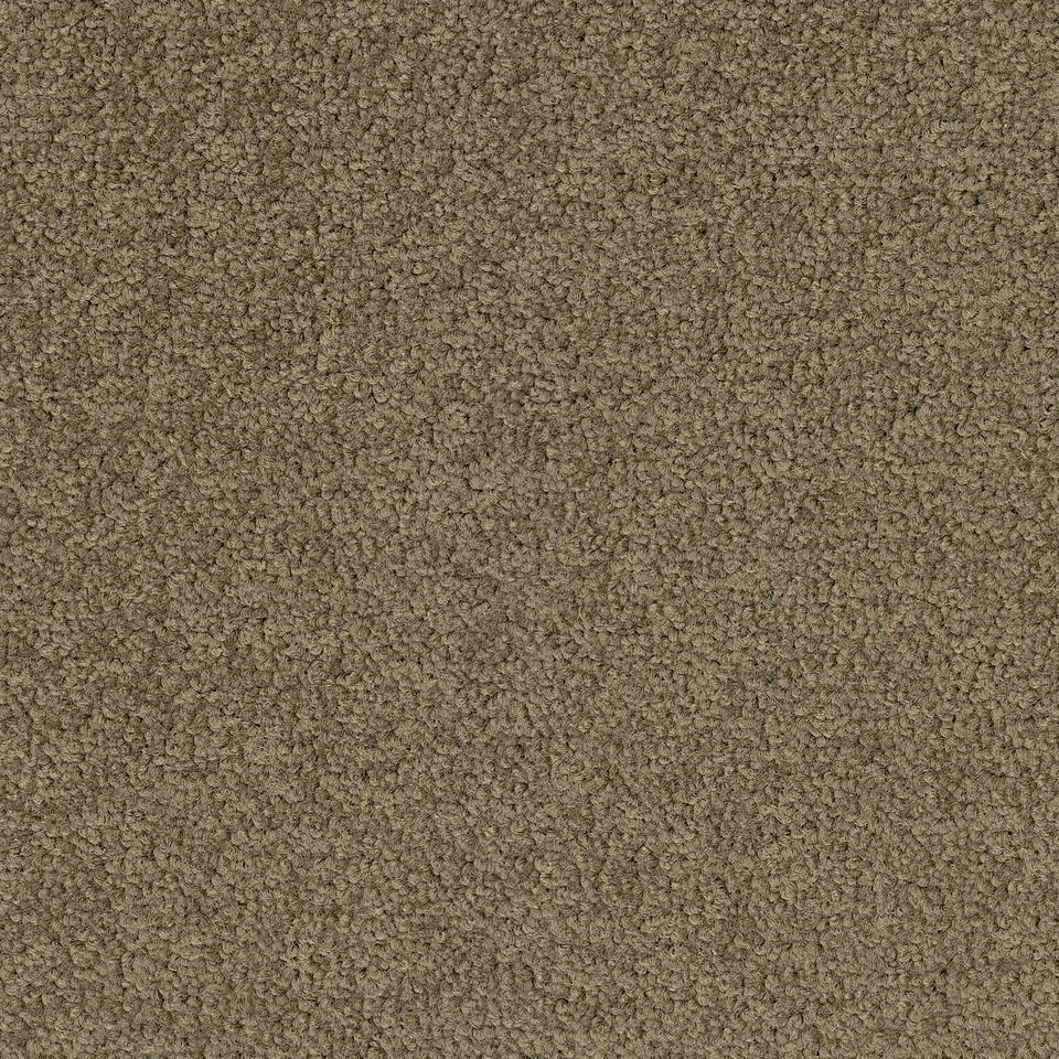 Palatino 2929