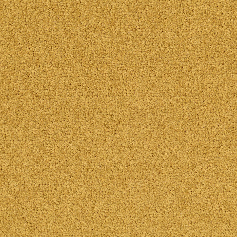 Palatino 6016