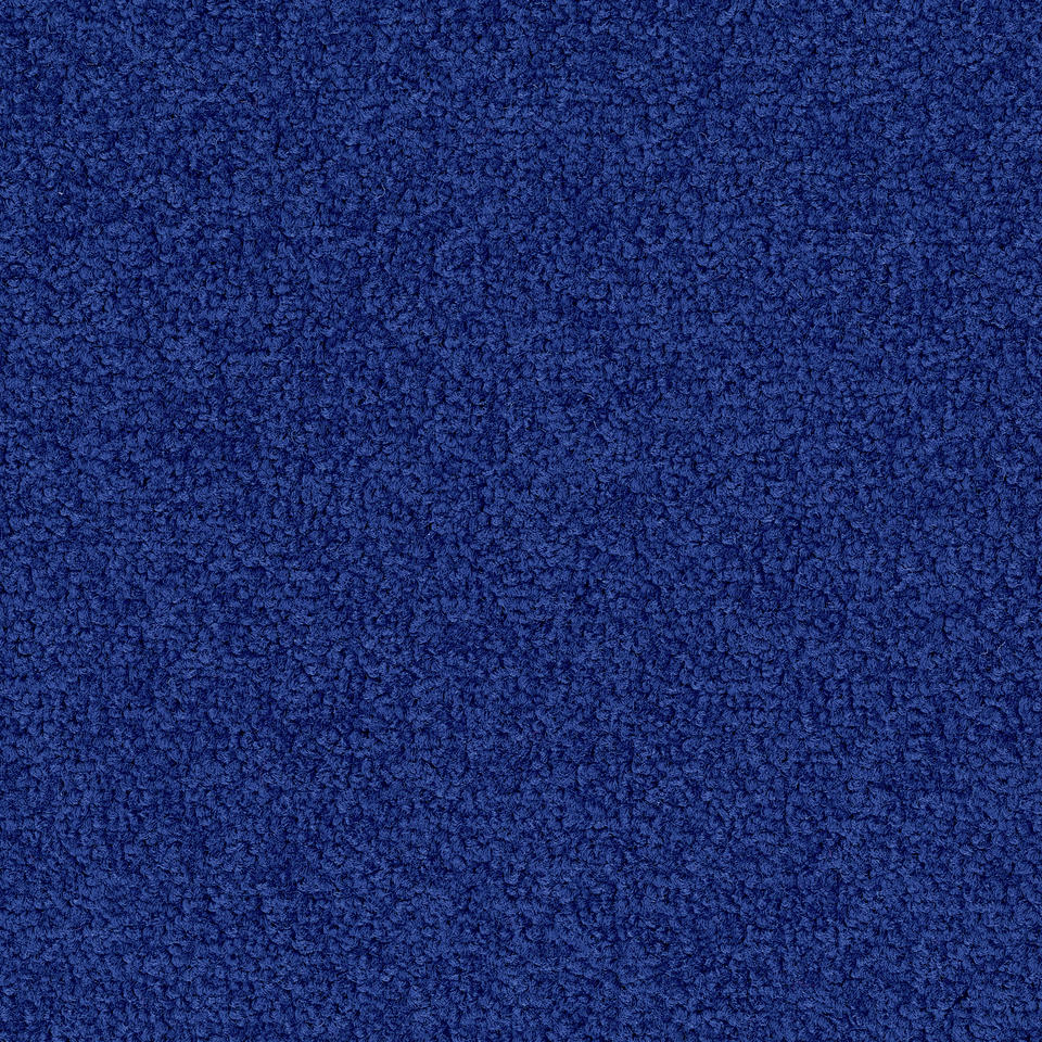 Palatino 8512