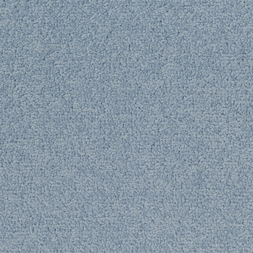 Palatino 8814