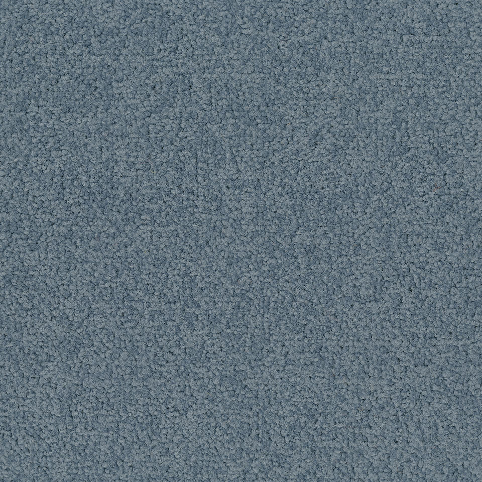 Palatino 8823