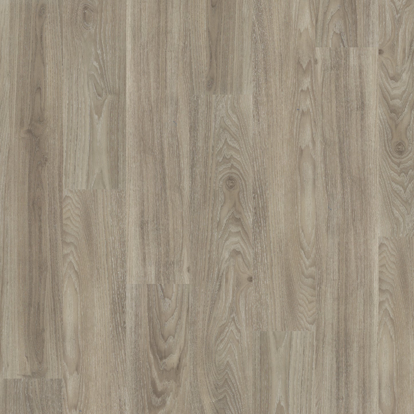 Light Elm - Polyflor Expona Control LVT swatch
