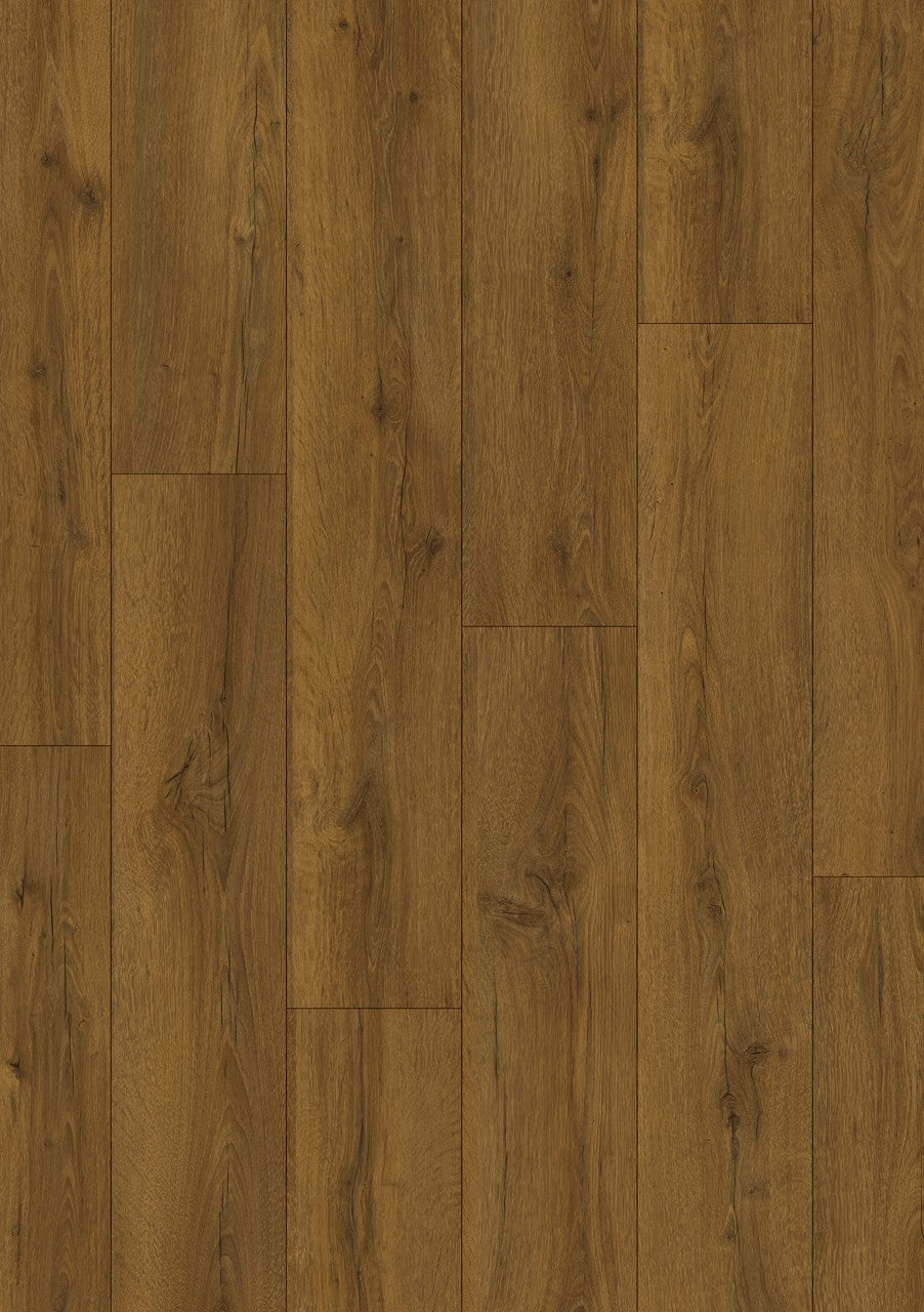 Quickstep Classic Cocoa Brown Oak 8mm Laminate CLM5793 | Trade Prices