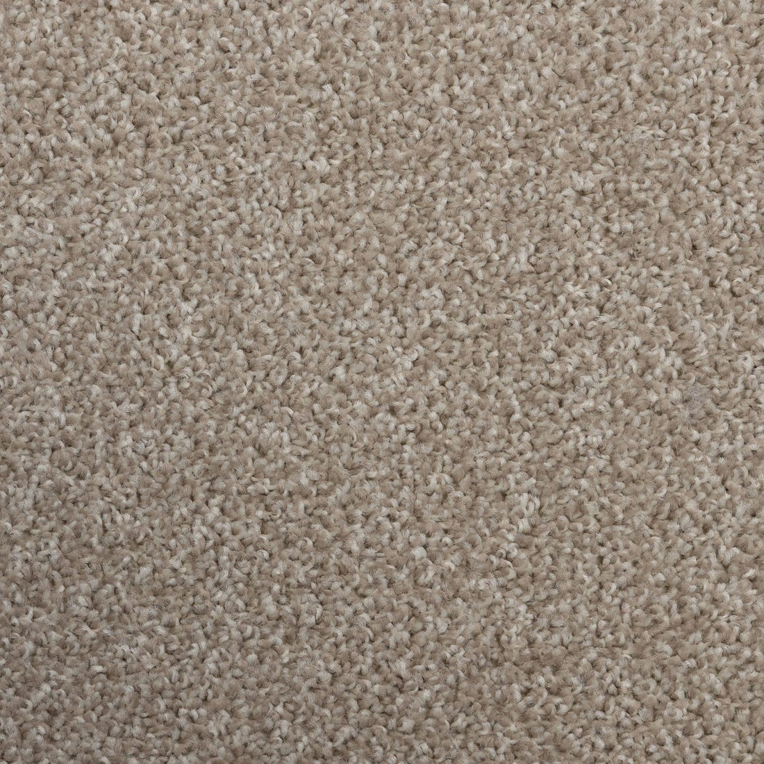 Flooring Wholesale Artisan Biscuit Carpet