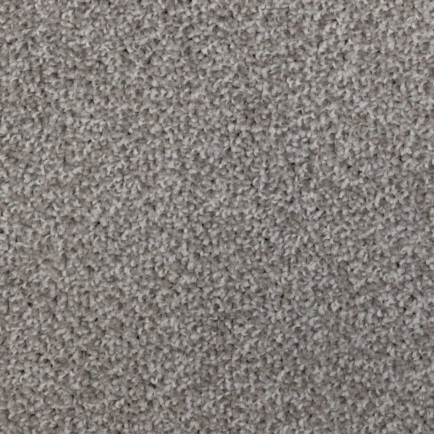 Flooring Wholesale Artisan Fossil Carpet