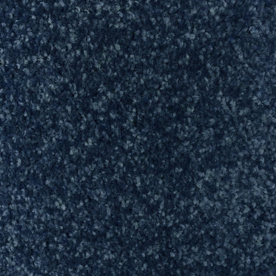 Flooring Wholesale Optima Midnight Carpet