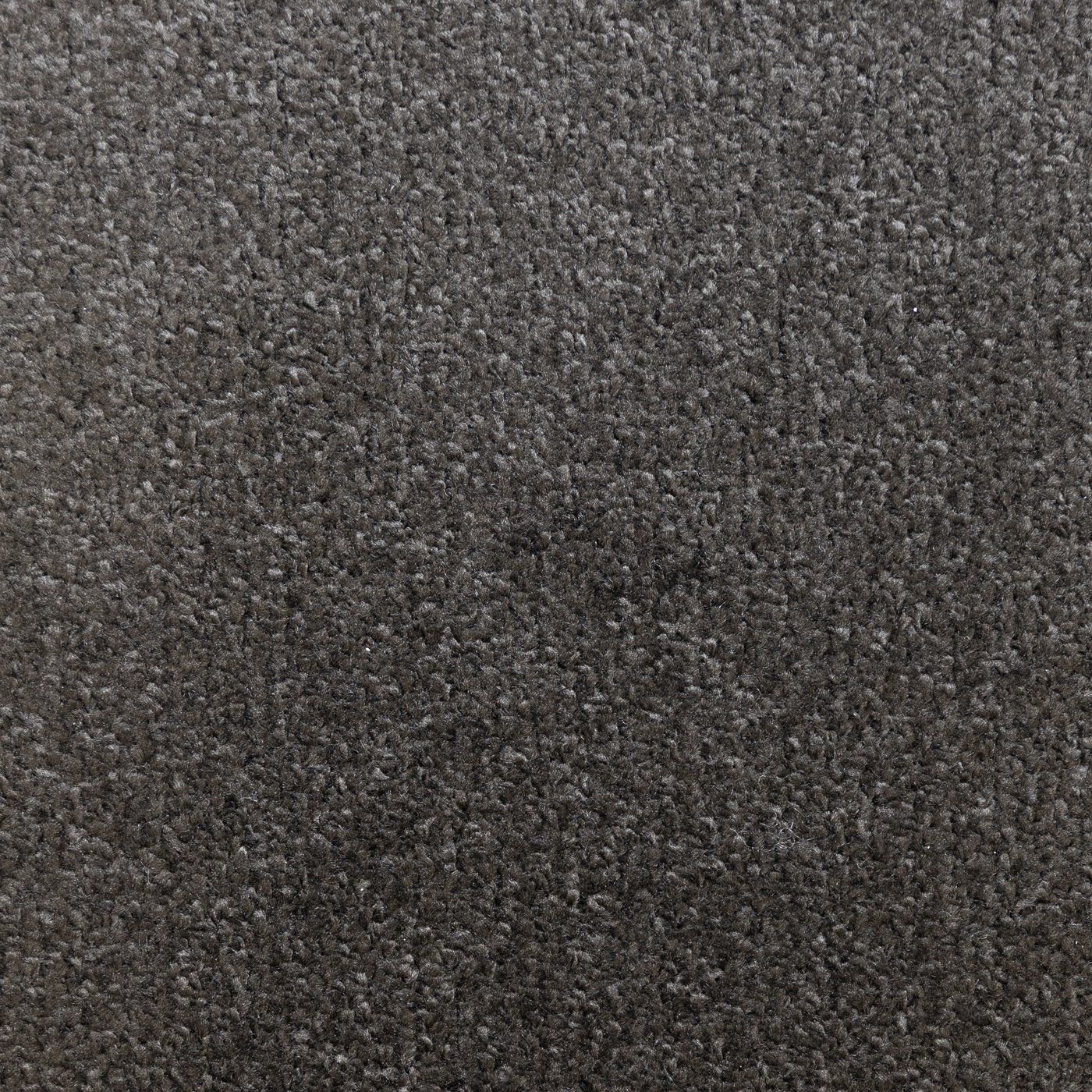 Flooring Wholesale Prime Anthracite Carpet