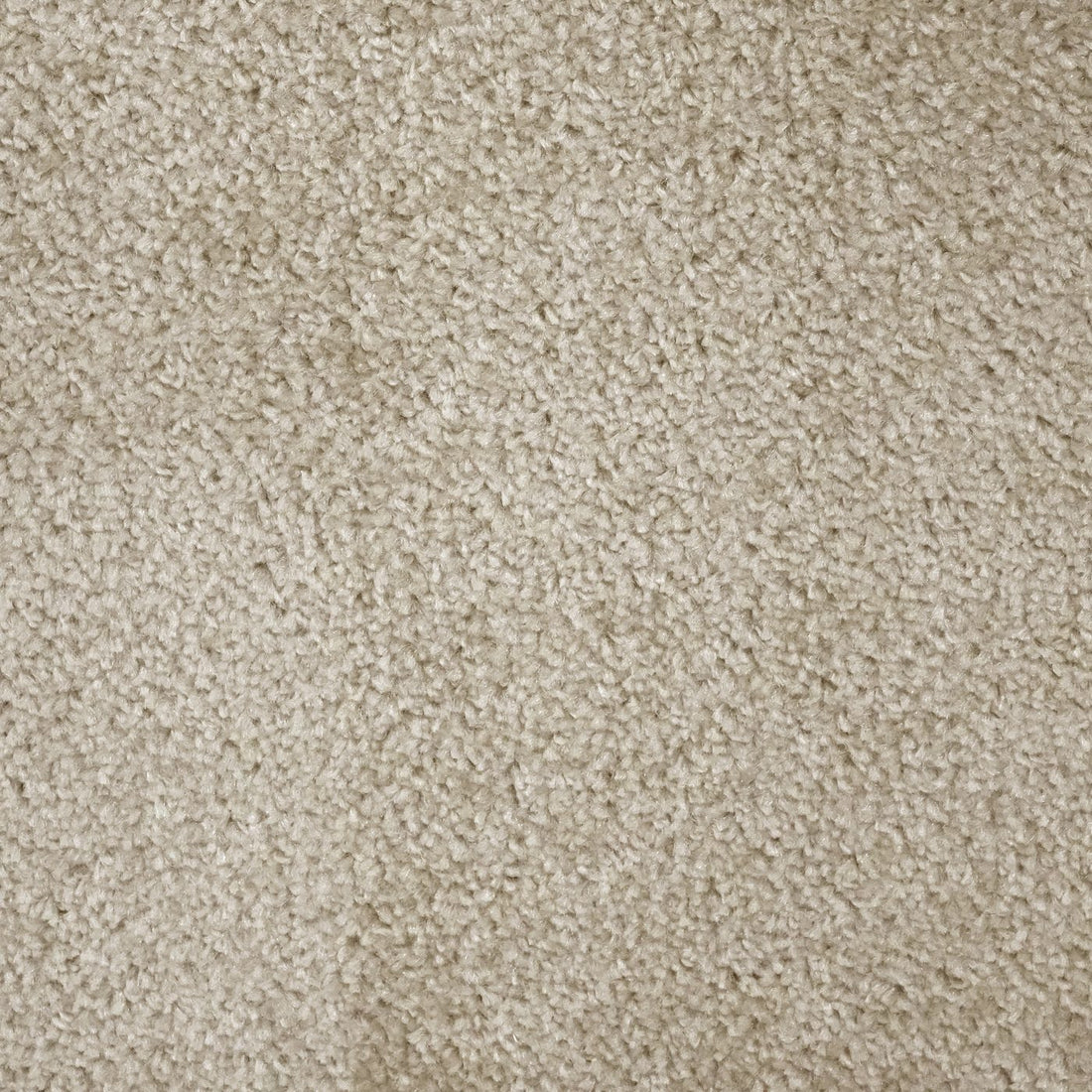Flooring Wholesale Prime Crème Carpet
