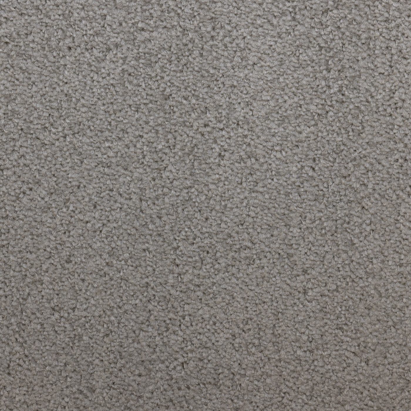 Flooring Wholesale Prime Fern Carpet