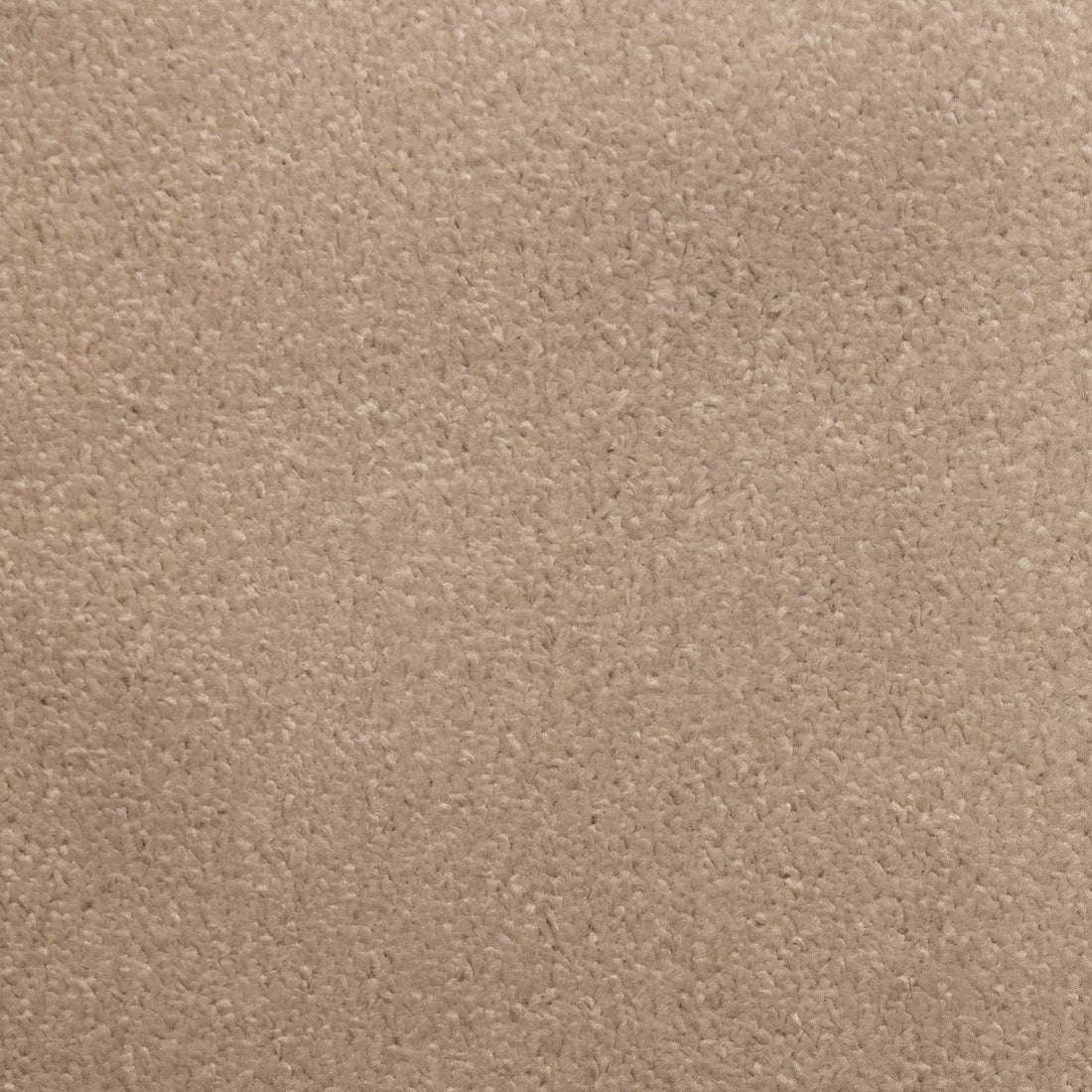 Flooring Wholesale Prime Rose Carpet