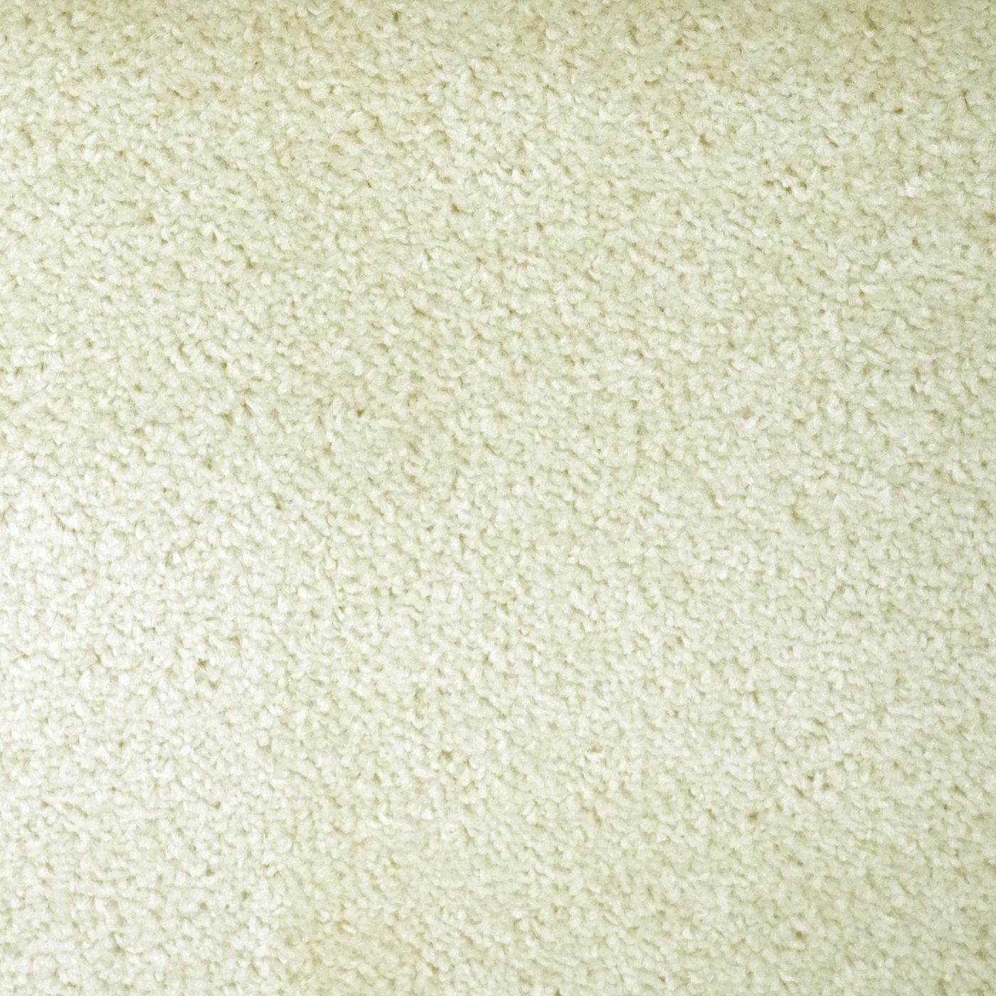 Flooring Wholesale Prime Vanilla Carpet