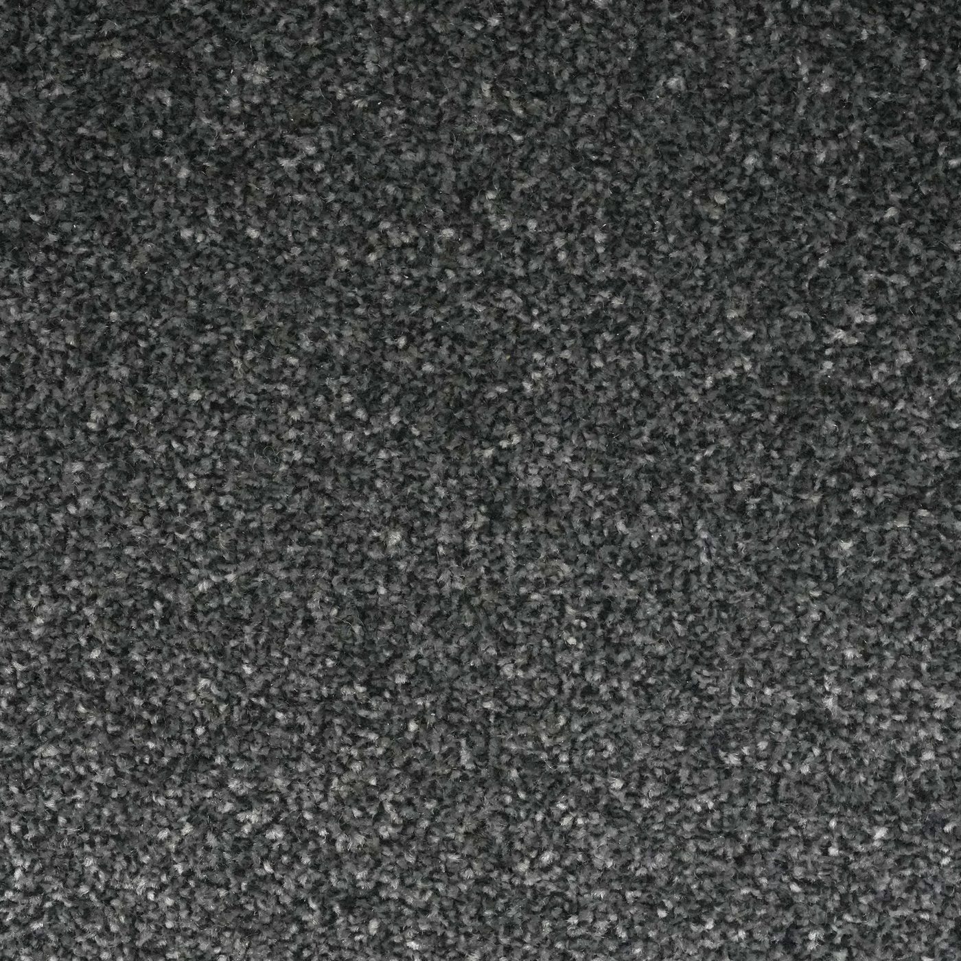 Flooring Wholesale Veneto Elite Gunmetal Grey Carpet