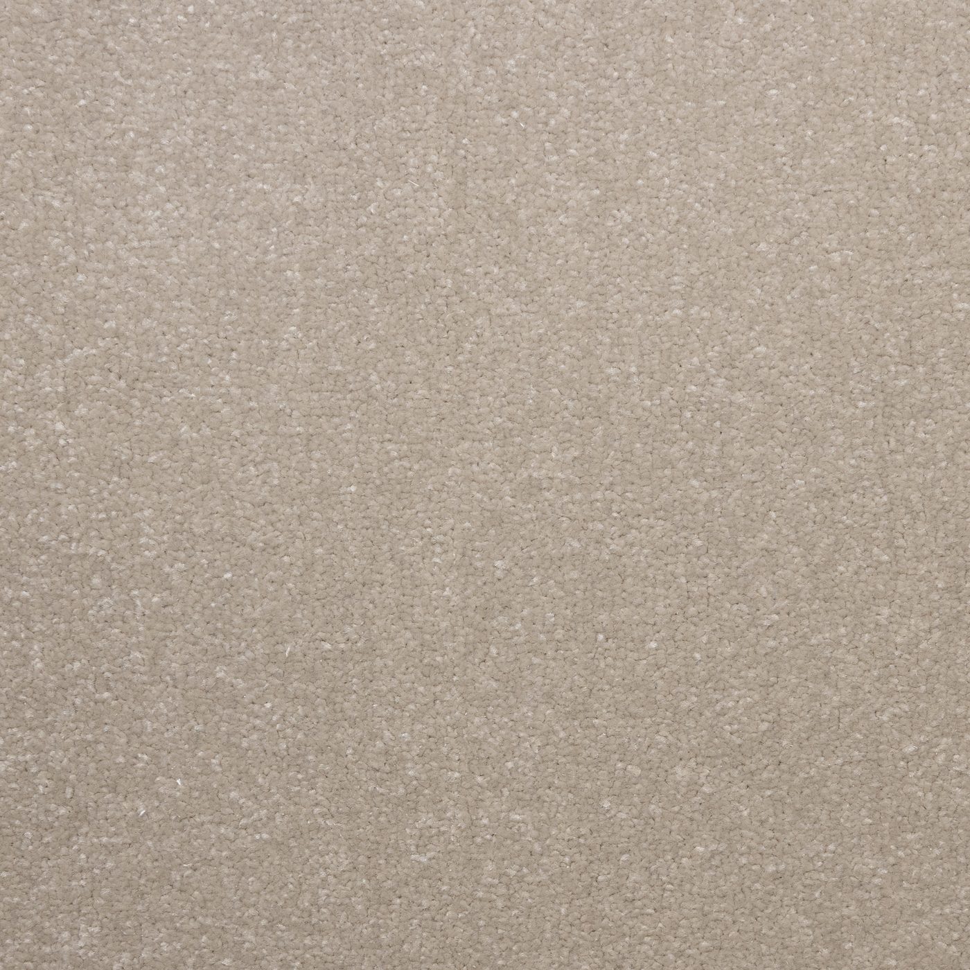 Flooring Wholesale Veneto Elite Sea Shell Carpet