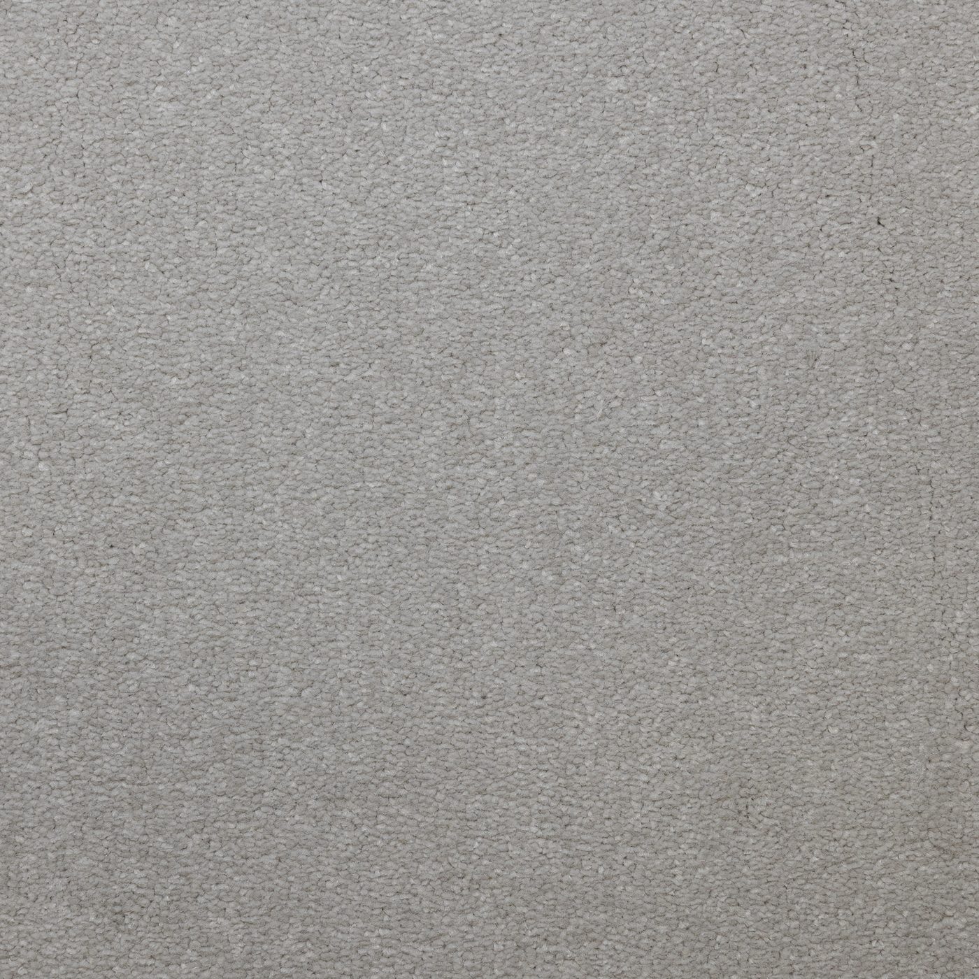 Flooring Wholesale Veneto Elite Snowdrift Carpet