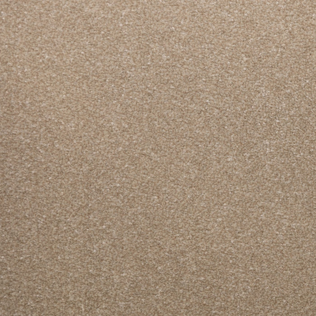 Flooring Wholesale Veneto Elite White Dove Carpet