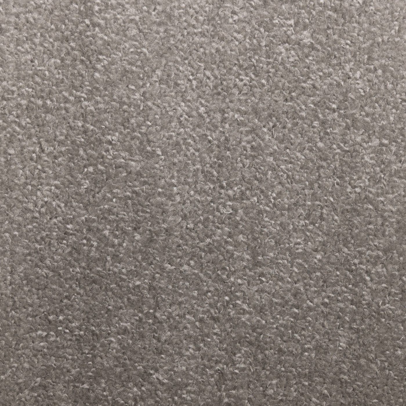 Flooring Wholesale Verona Alabaster Carpet