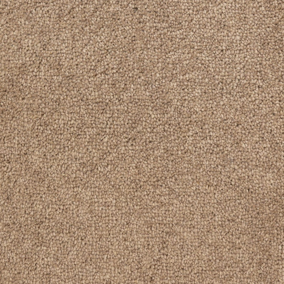 Flooring Wholesale Windsor 40oz Beige Carpet
