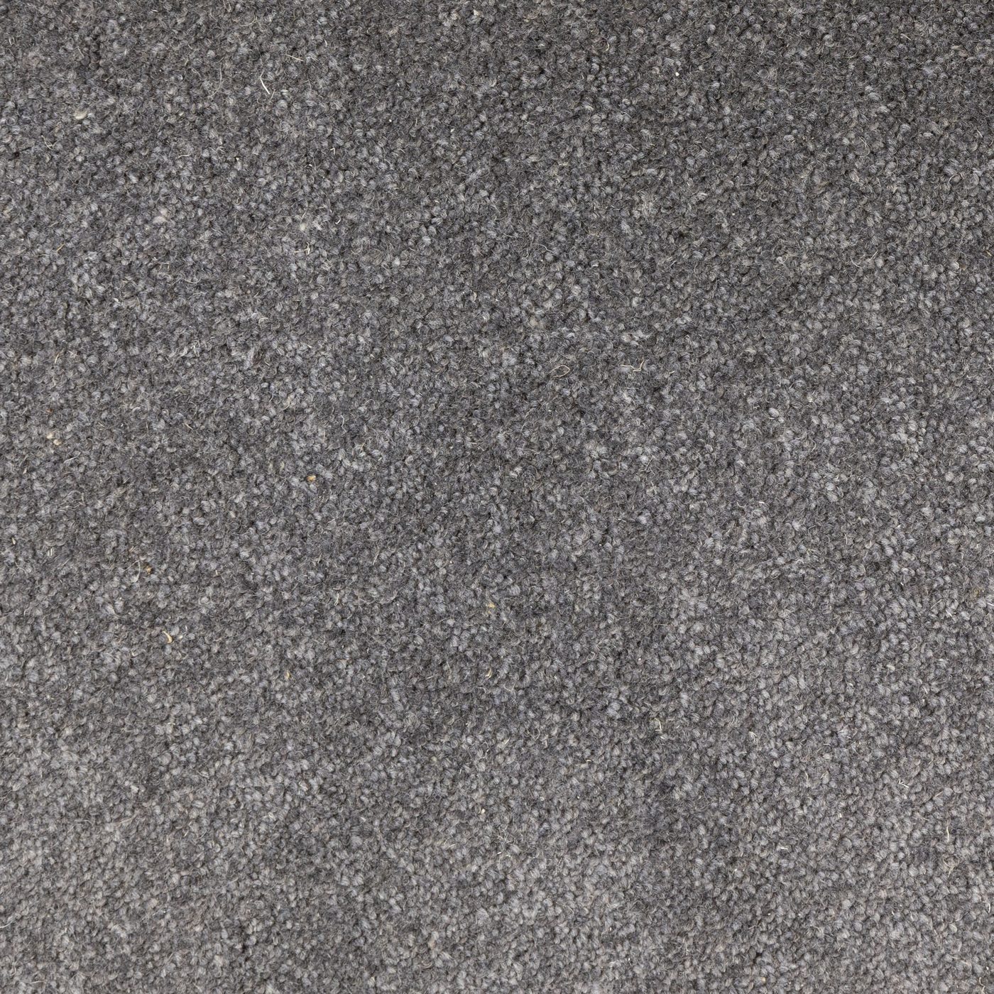 Flooring Wholesale Windsor 40oz Charcoal Carpet