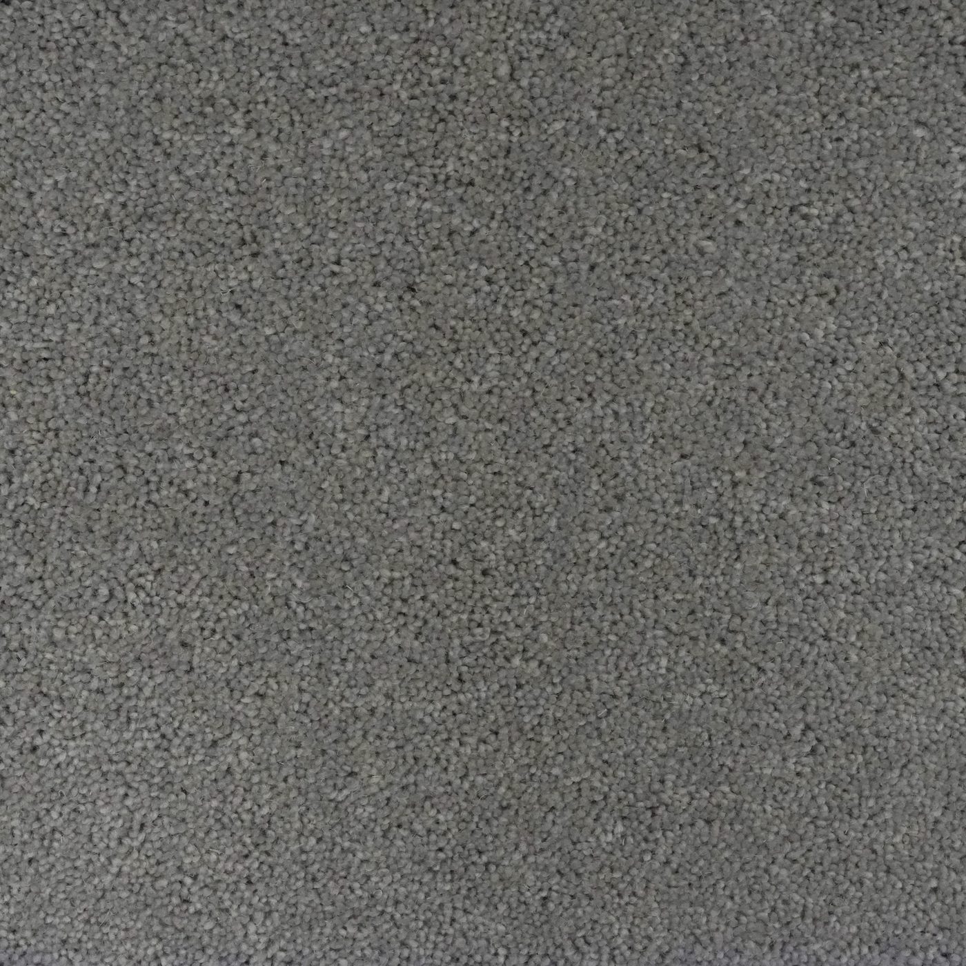 Flooring Wholesale Windsor 40oz Dark Grey Carpet