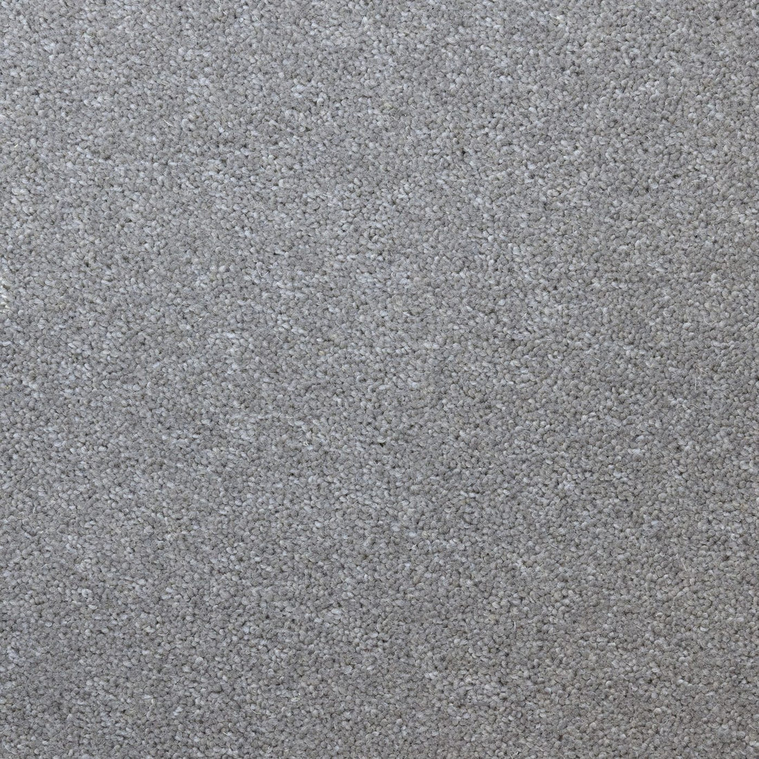Flooring Wholesale Windsor 40oz Middle Grey Carpet