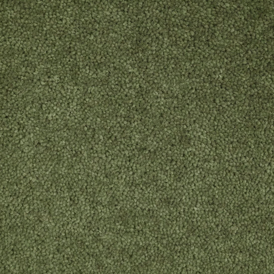 Flooring Wholesale Windsor 60oz Sage Carpet