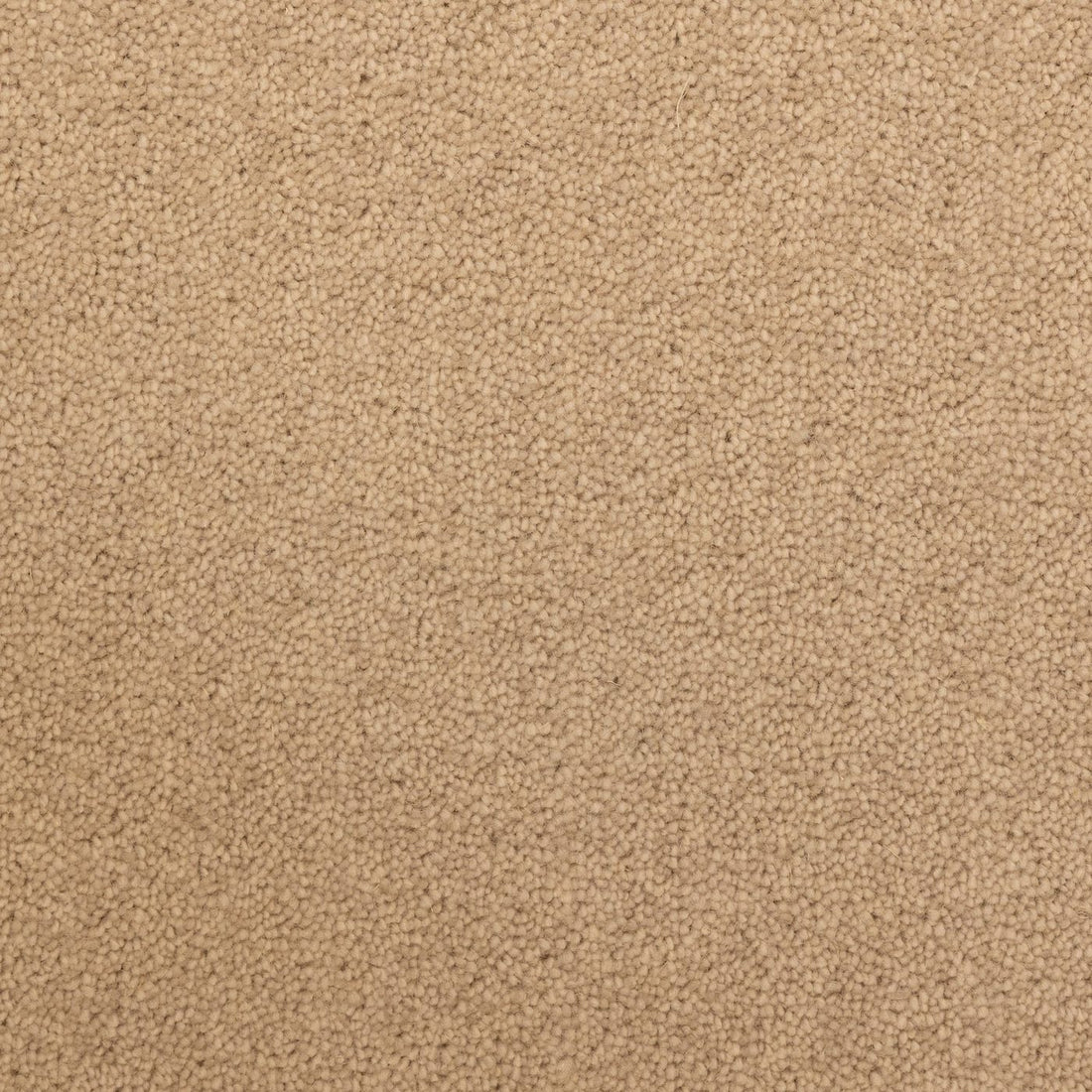 Flooring Wholesale Windsor 60oz Sand Carpet