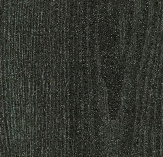 Forbo Allura Dryback Forest Ash 63665DR7 LVT | Trade Prices
