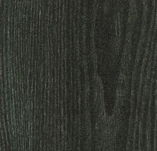 Forbo Allura Dryback Forest Ash 63665DR7 LVT | Trade Prices