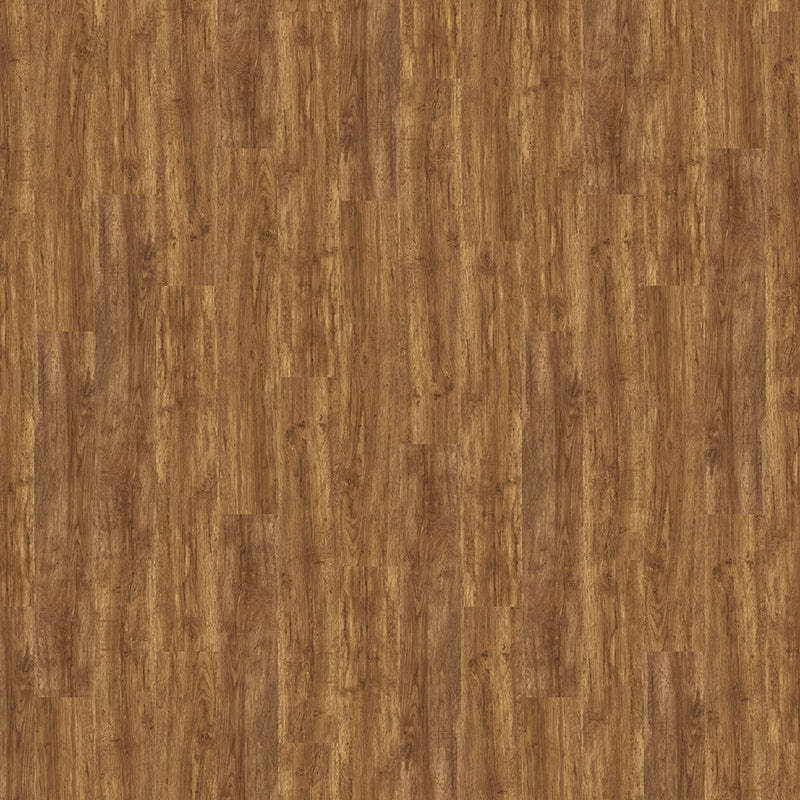 TLC True Forest Barn Oak 5177 Glue-Down LVT Flooring | Trade Prices